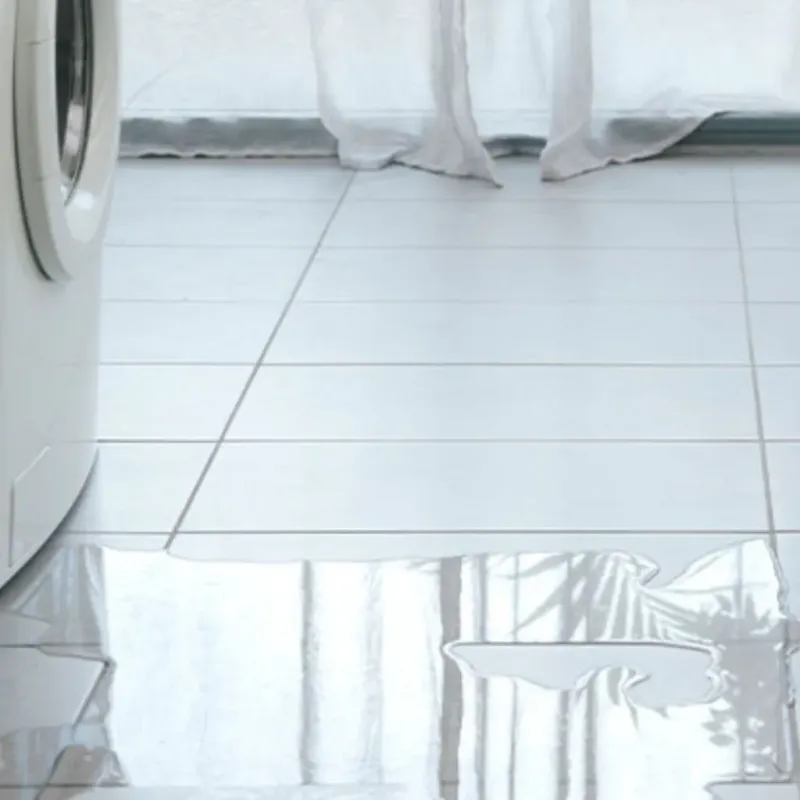 Appliance Leak Cleanup in Downieville, CA